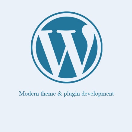 Modern Theme & Plugin Development