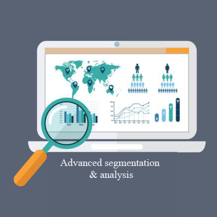 Advanced Segmentation & Analysis