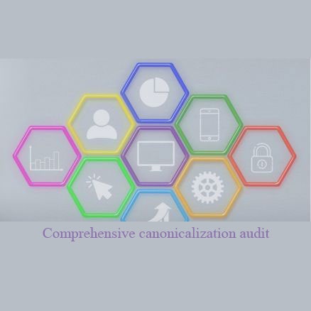 Comprehensive Canonicalization Audit